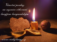 Vánoční poukaz na lanýžové sazenice, zátiší s ukázkovým textem