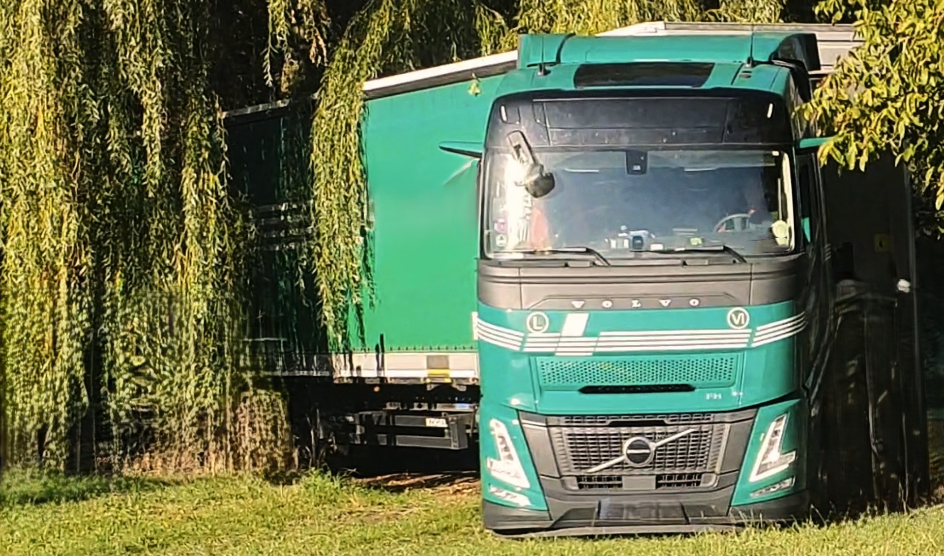 Český lanýž - kamion s prvními lanýžovými sazenicemi pro podzim 2025 dorazil.