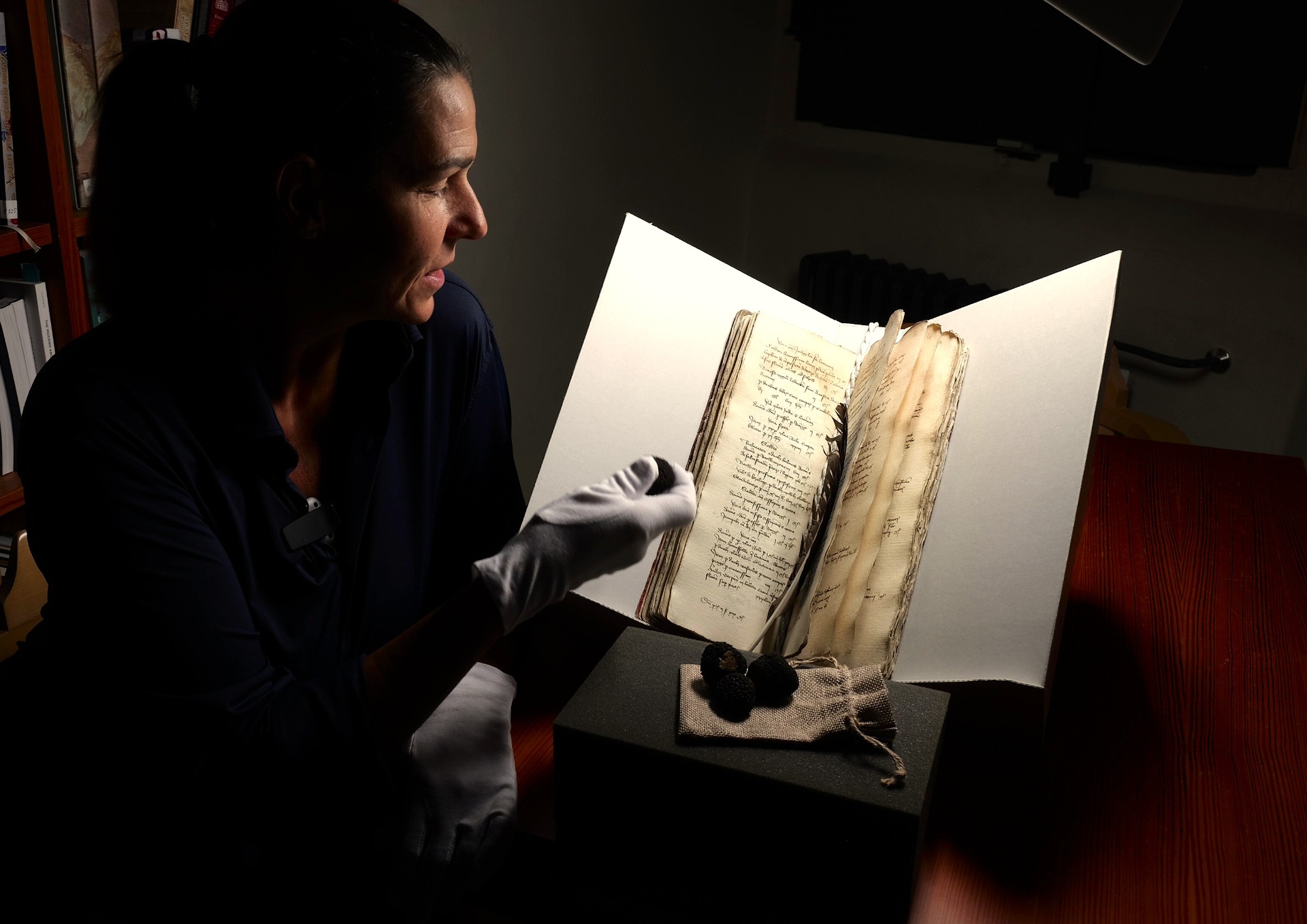 Lenka Benešová, Český lanýž Asociace, nad originálem dokumentu z roku 1424 v badatelně Archivu Pražského hradu.