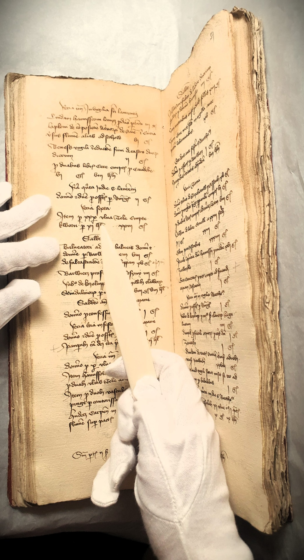 Český lanýž Asociace - ověřování podkladů přímo v originálu účetní knihy hradu Karlštejn z roku 1424.